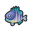 Bluegill