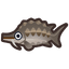 Sturgeon