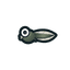 Tadpole